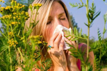 4 tipp az allergia elviselshez: Vas megyben is magas egyes allergn fk pollenje 