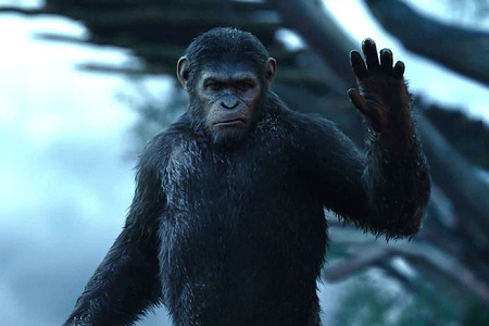 Filmkritika: A majmok bolygja - Forradalom 