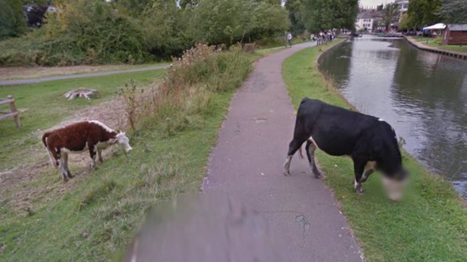 A Google Street View-nl kicsit tltoltk az adatvdelmet