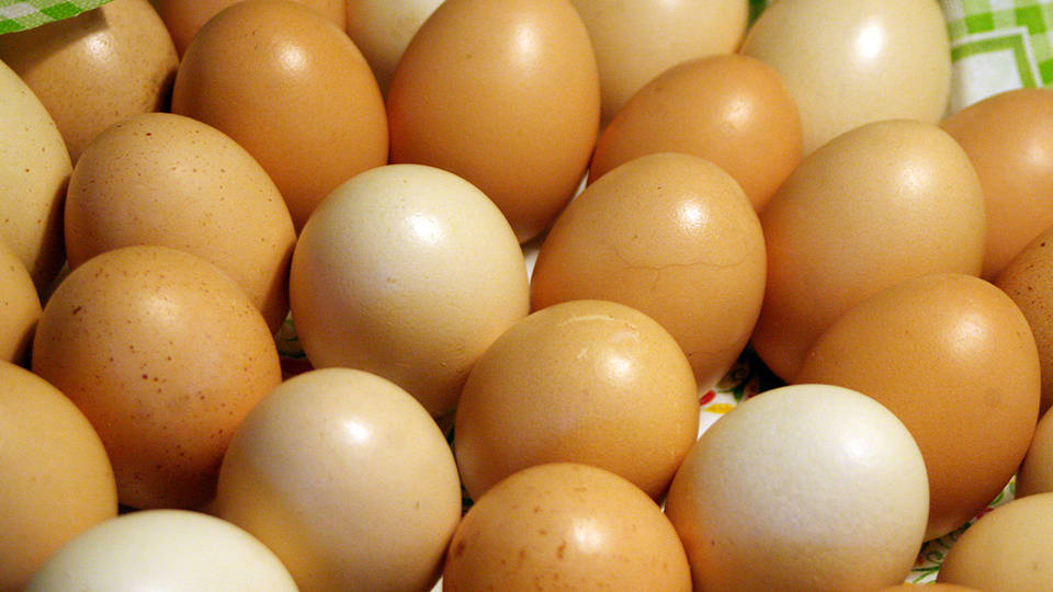 Tbb ezer tojst semmistettek meg Vasban