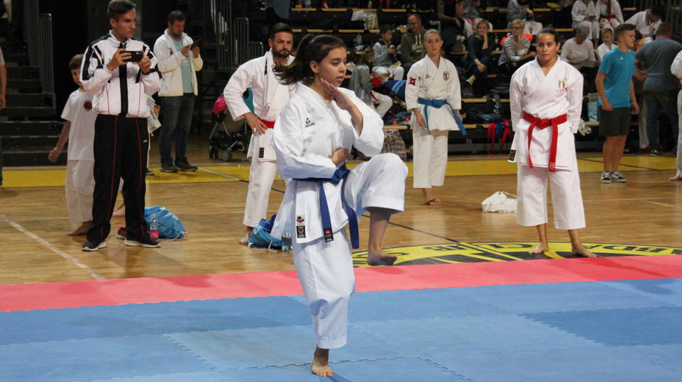 Taroltak a szombathelyiek a Nylt Nemzetkzi Karate versenyen