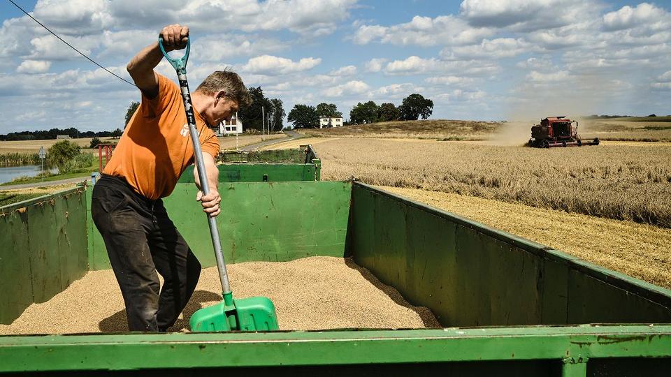 Szabadabb kezet ad az EU a tagllamoknak az ukrn agrrimport korltozsban