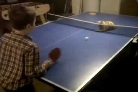Videó: Ping pong a macskával