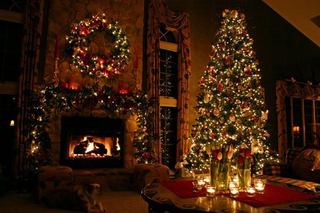 Milyen fát válasszunk? - Illetlen gondolatok a karácsonyfáról