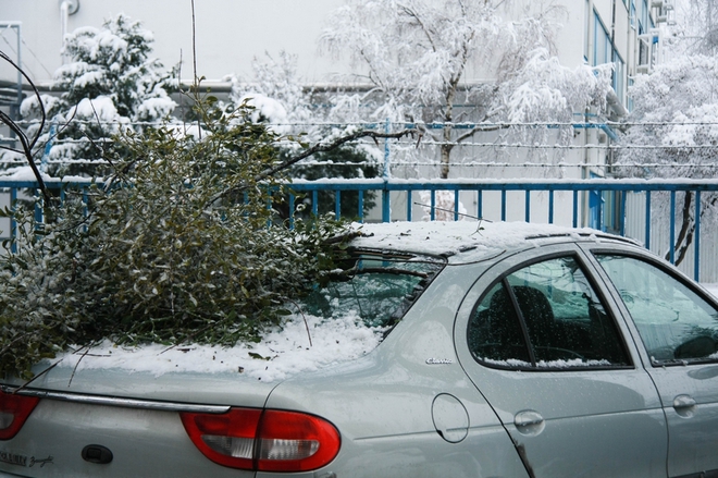 Károkat is okozott a havazás Szombathelyen (képgaléria)