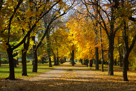 5 dolog, amiért jó, hogy itt az ősz