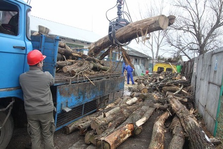 Névtelen vállalkozó oszt fát a rászorulóknak Szombathelyen