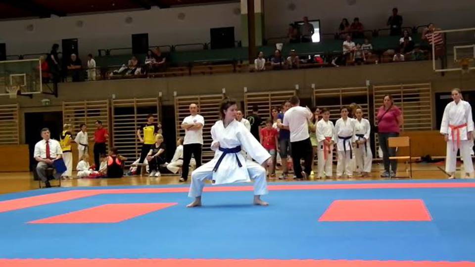Karate: vasi utnptls sikerek Ausztriban