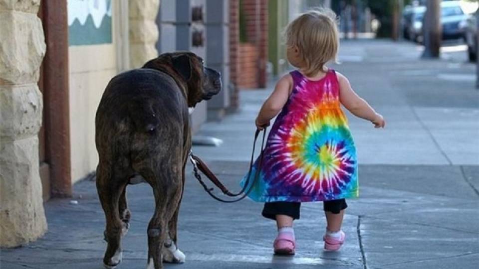 15 fotó, ami bizonyítja, hogy a gyerekeknek igenis szükségük van kutyákra