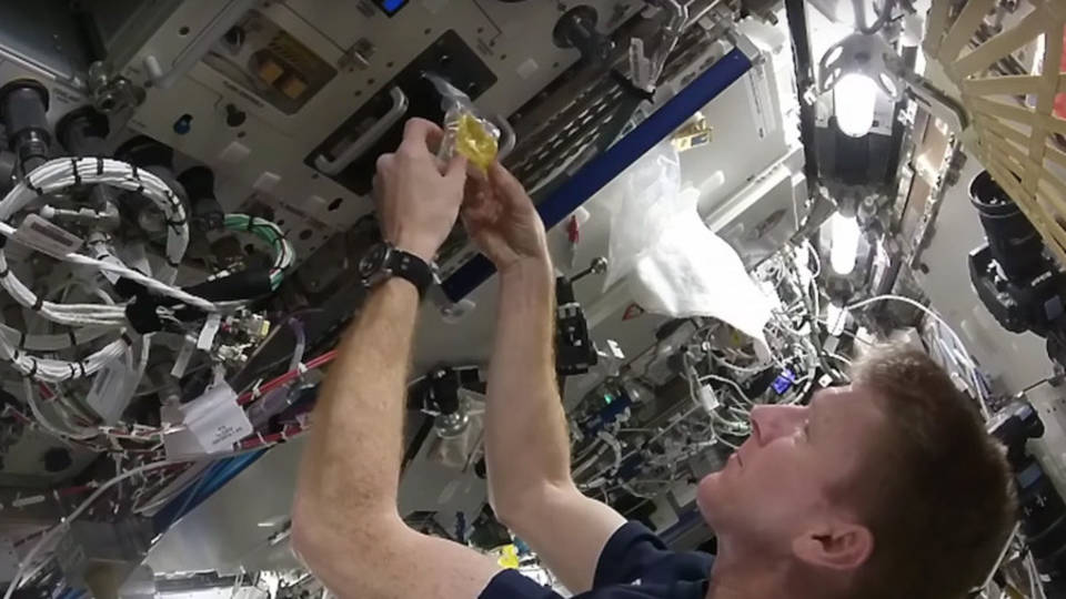 Így készül a rántotta az űrben