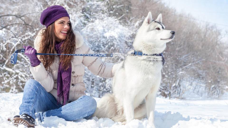 Minden, amit a téli kutyatartásról tudnunk kell