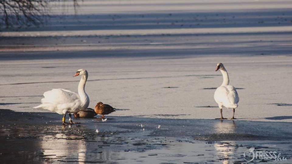 Varázslatos jégvilággá változott a szombathelyi Csónakázó-tó 