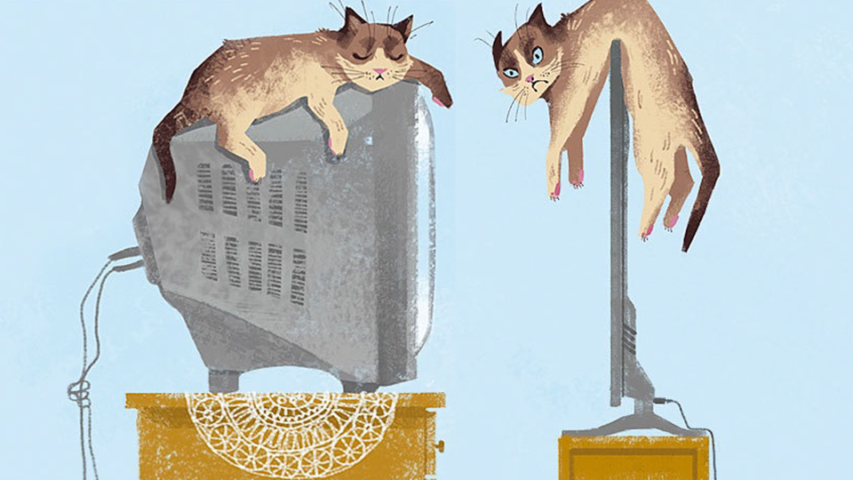 Hogyan változtatta meg cicák életét a technika fejlődése? 
