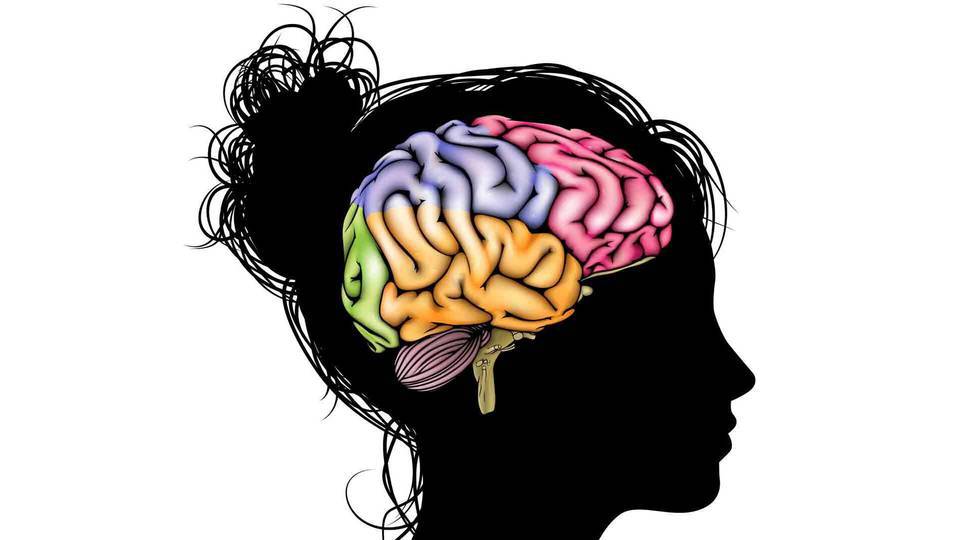 Tényleg az agyunk formája határozza meg a személyiségünk?