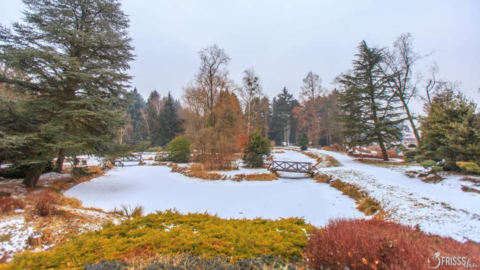 Csodaszép a hófehérbe öltözött Kámoni Arborétum