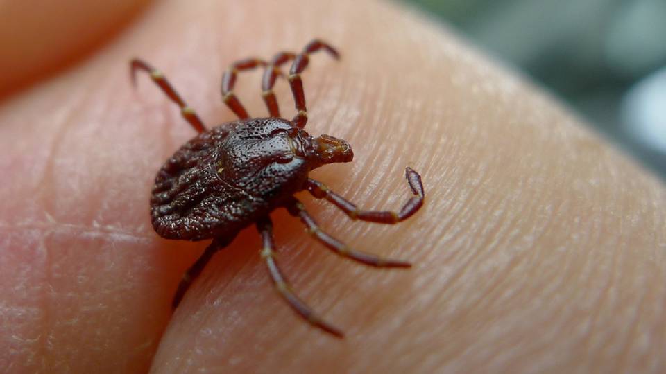 frisss.hu .minden szombathelyr鮨 閟 k鰎ny閗閞鮨