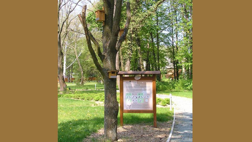 Madárodúk a Szombathelyi Erdészeti Zrt. Központi Igazgatóságának parkjában