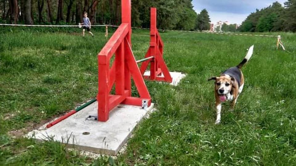 Oladi kutya agility park: A kerítés lenne a megoldás