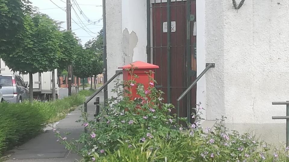 Szombathelyen már az élő levelek is helyet kapnak a postaládában - fotók