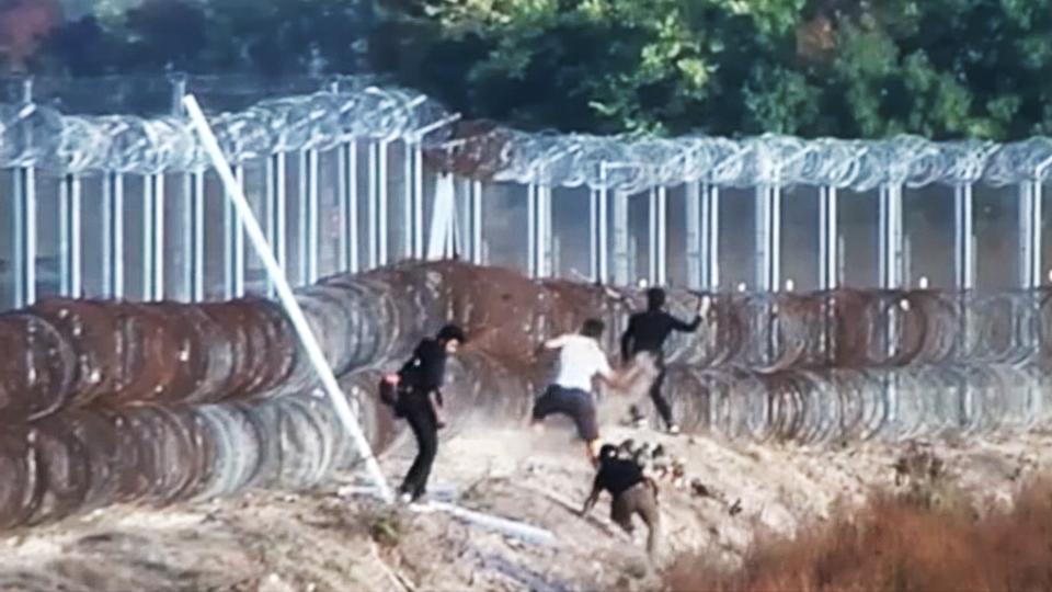 Döbbenetes felvételek: kövekkel, husángokkal ostromolják az illegális migránsok a magyar határt - videó