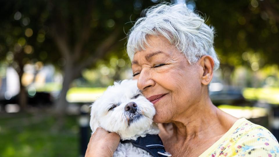 Elképesztő, milyen hatása van a kutyatartásnak a 65 éven felüliek agyára