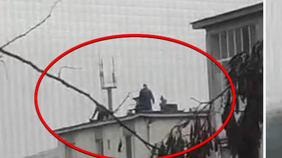 Videó: a tömbház tetején vágtak le egy disznót Nagybányán
