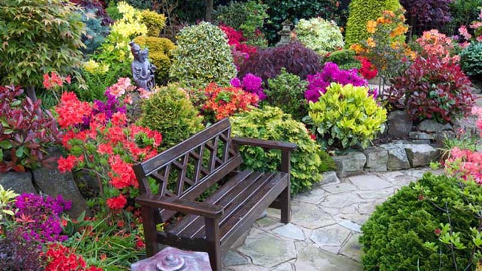 Vajon idén kié lesz Szombathelyen a legszebb kert vagy balkon?