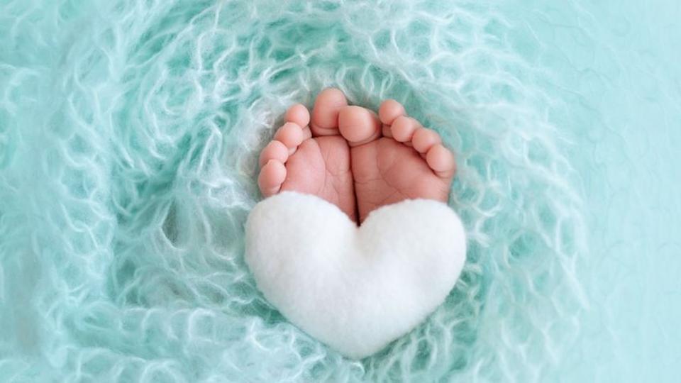 Újszülött kisfiút hagytak a veszprémi kórház babamentő inkubátorában
