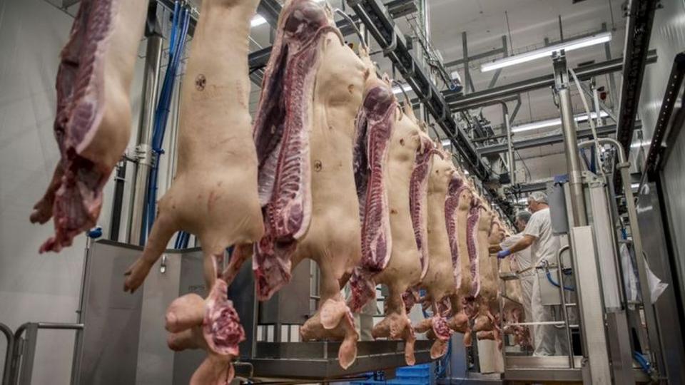 Szalmonellával fertőzött német sertéshúst talált a Nébih