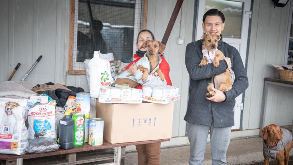 Kis boldogsg a behavazott menhelyen - Mk Zsombor adomnyokat gyjttt a gazdtlan kutyknak