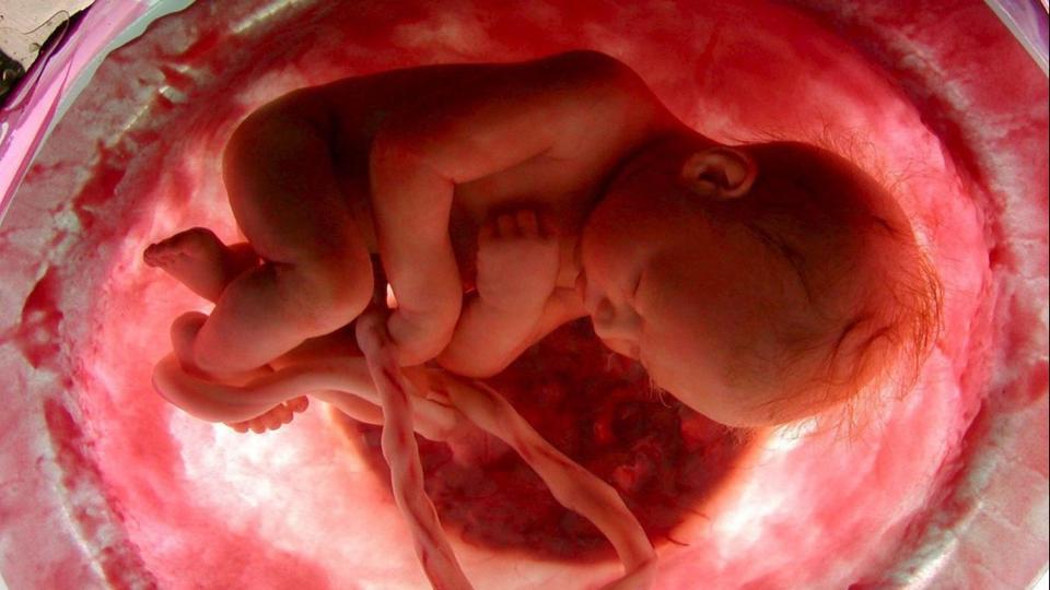 Horror Prgban: tveds miatt rossz kismamn hajtottak vgre abortuszt