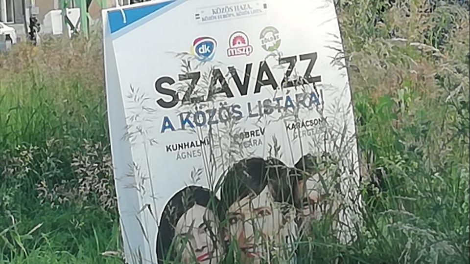 Politikai biodiverzits: A Dobrev Klra-fle plaktok jttek, a fideszes tblk mentek