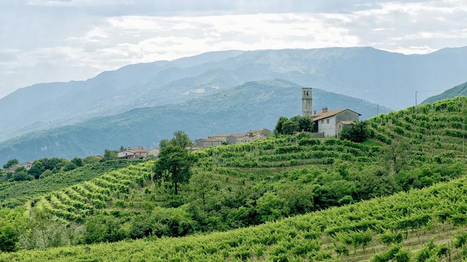 Szűkül és átalakul az európai borpiac – Franciaország az olaszok elé vág