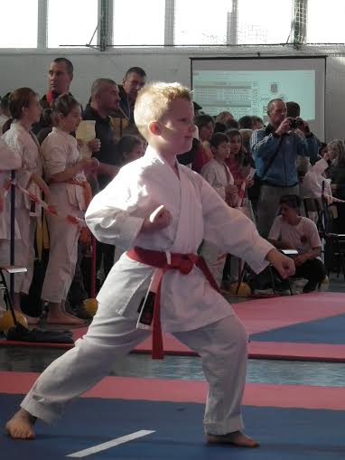 Vasi karate sikerek